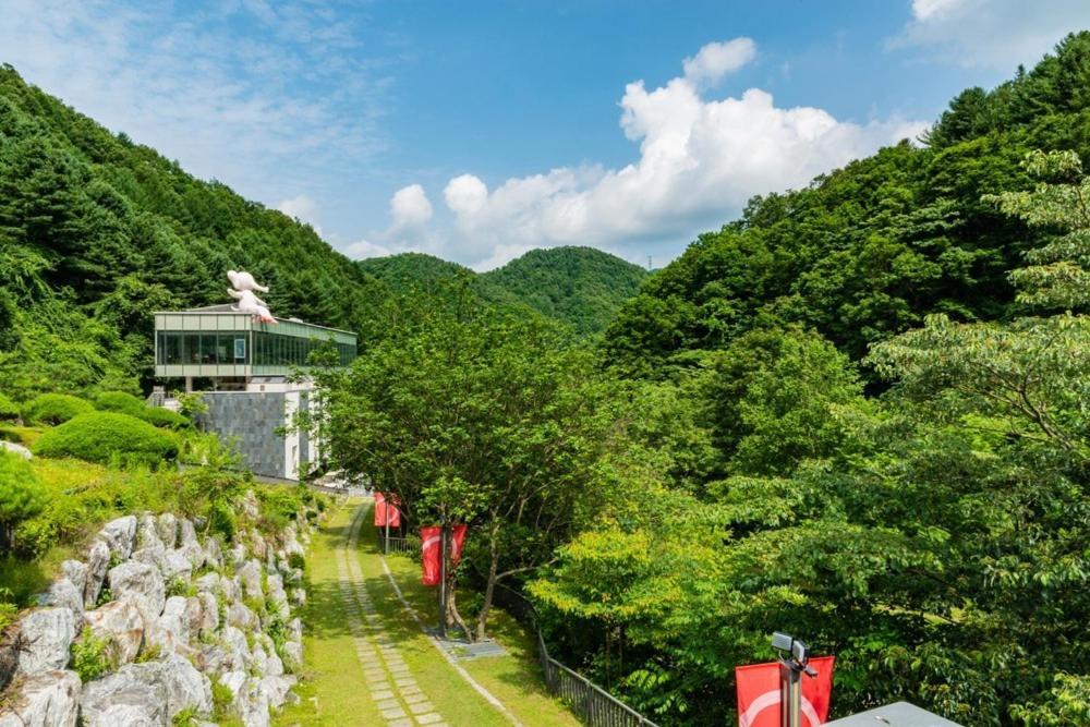 Leesangwon Museum Of Art - Museumstay Chuncheon Habitación foto